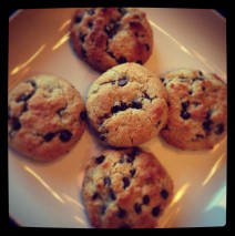 Paleo tookie monster Paleo tookie monster